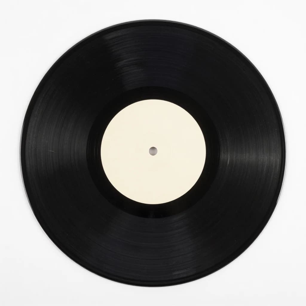 Il vinile ricomprato