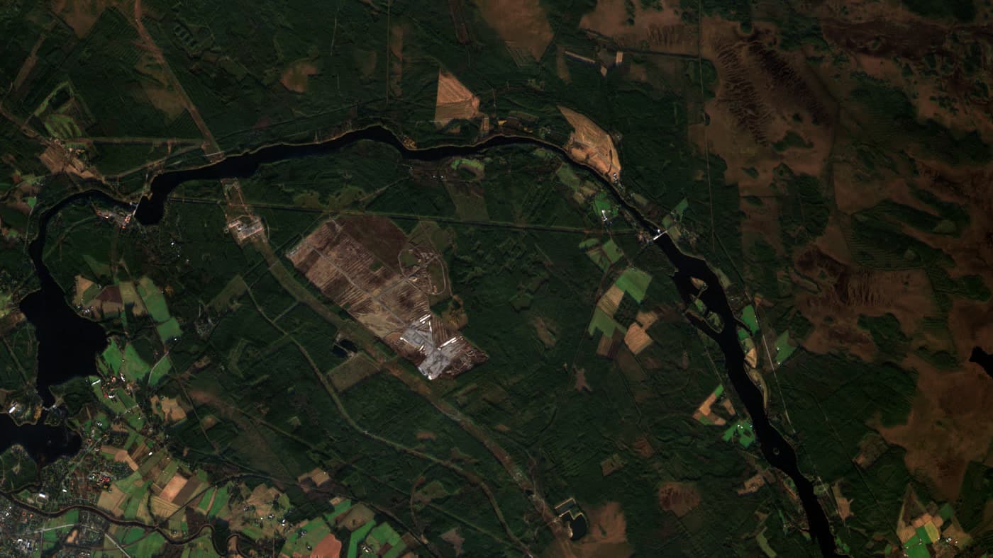Google ha tagliato circa 330 ettari di bosco in Finlandia durante la valutazione ambientale