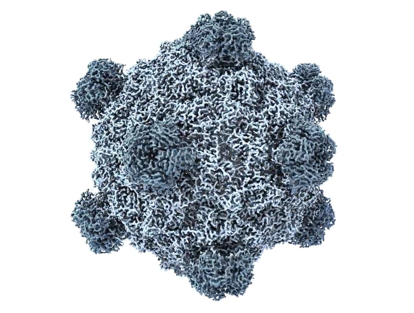 Per la prima volta un'AI ha progettato un virus funzionante